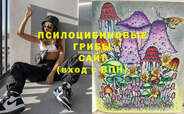 кокс Богородск