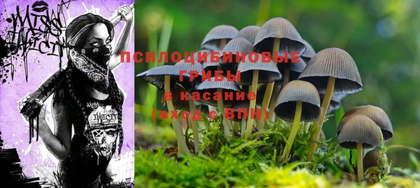 героин Богданович