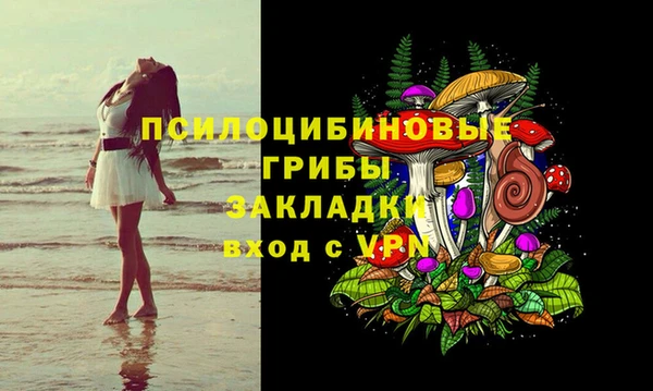 кокс Богородск